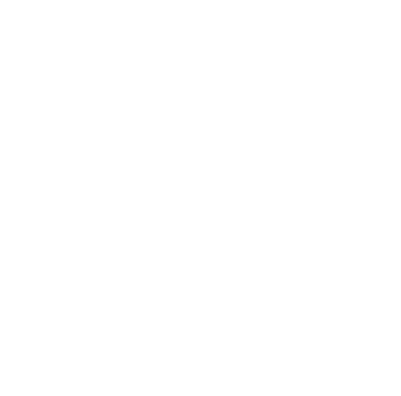 truck icon